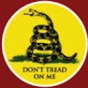 Meet your Posher, Jerry